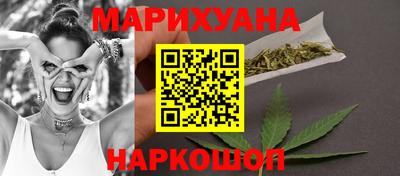 крисы Малгобек