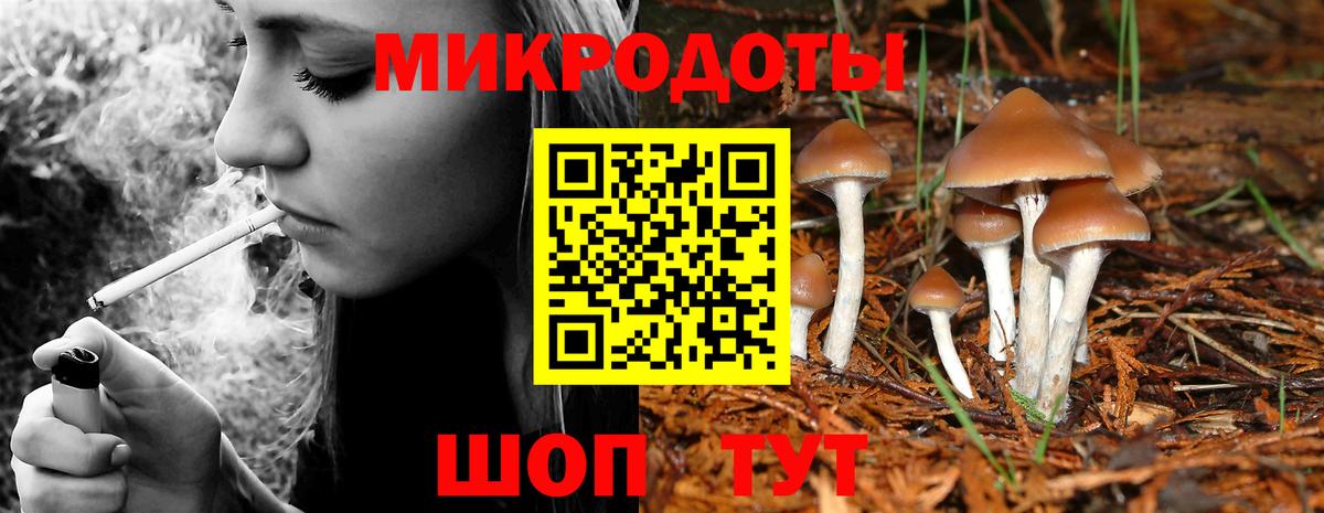 Азов  Псилоцибиновые грибы ЛСД  Вход с VPN  Псилоцибиновые грибы Psilocybine cubensis 